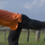 Small_fitness_fitintwente_andrept
