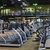Small_cardio1