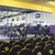 Small_fitness_almere_palladium_parkwijk_lossegewichten