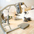 Small_fitness_ladyline_leeuwarden_kracht