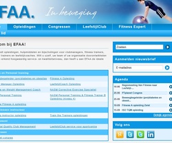 Big_efaa_website